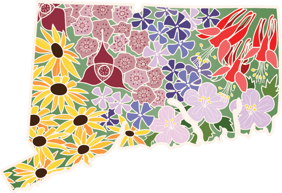 Connecticut Wildflower | Sticker