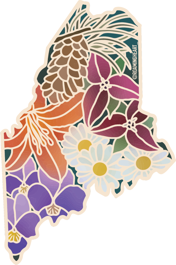Maine Wildflower | Sticker