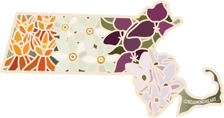 Massachusetts Wildflower | Sticker
