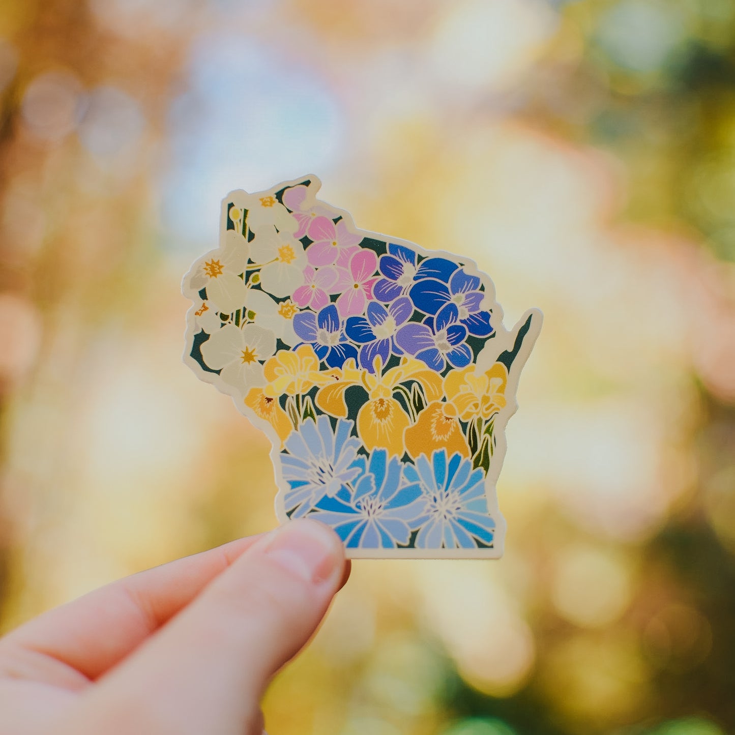 Wisconsin Wildflower | Sticker