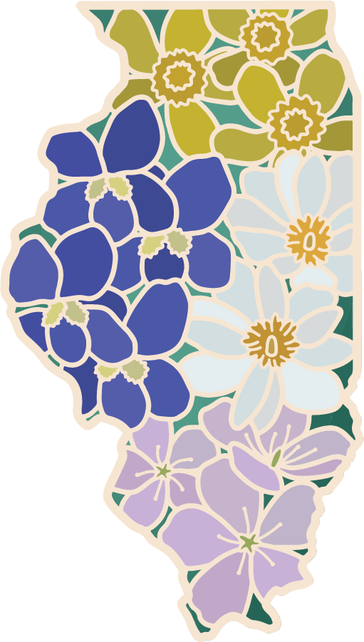 Illinois Wildflower | Sticker