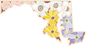 Maryland Wildflower | Clear Sticker