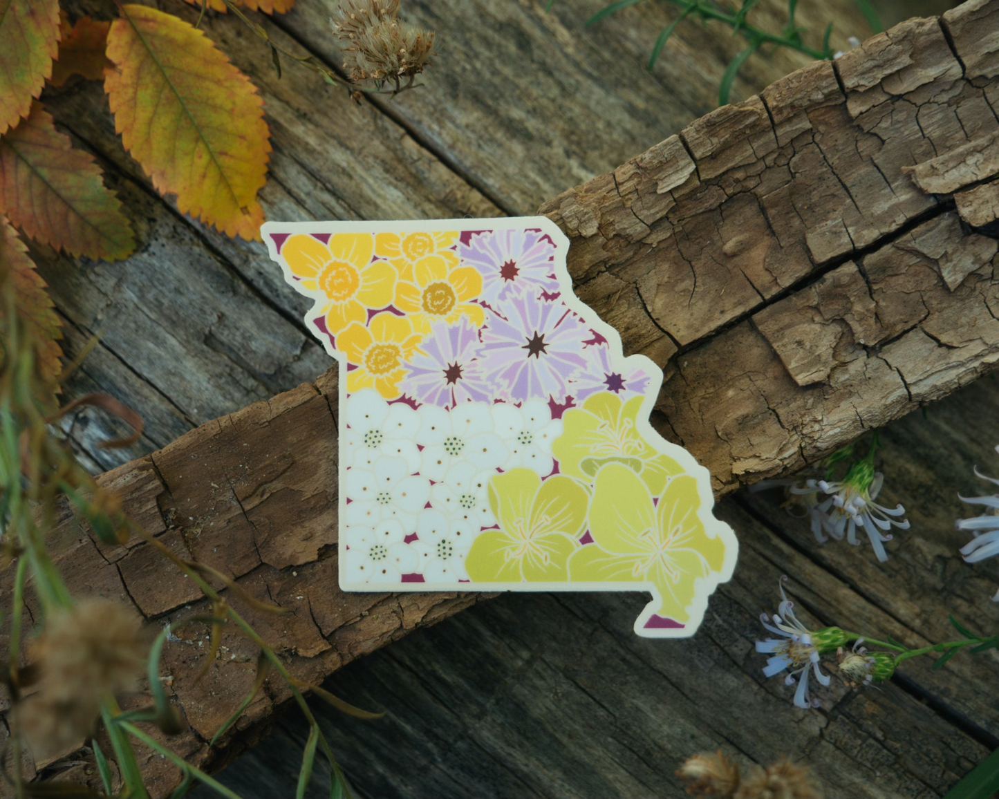 Missouri Wildflower | Sticker