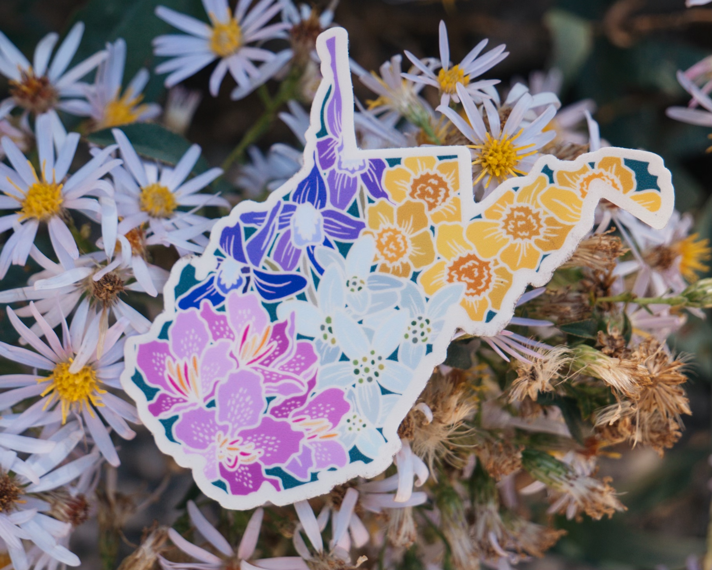 West Virginia Wildflower | Sticker